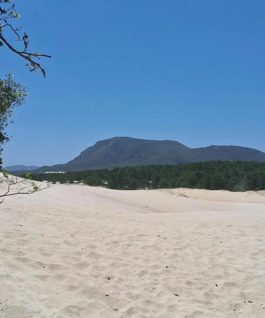 Toca Da Suzara Suite 2 Ate 4 Pessoas Piscina Rio E Mar Num So Lugar Florianópolis Pensión
