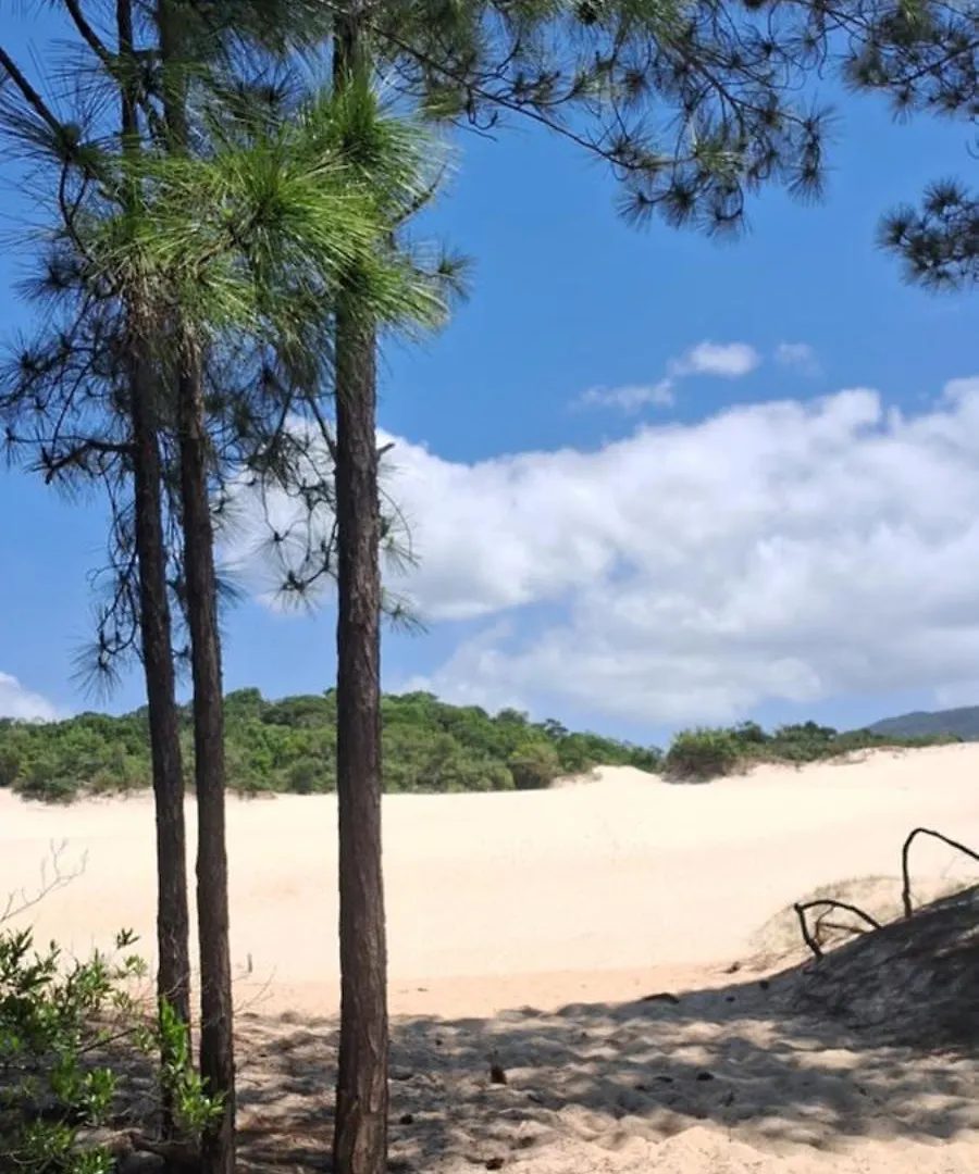 Pensión Toca Da Suzara Suite 2 Ate 4 Pessoas Piscina Rio E Mar Num So Lugar Florianópolis Brasil